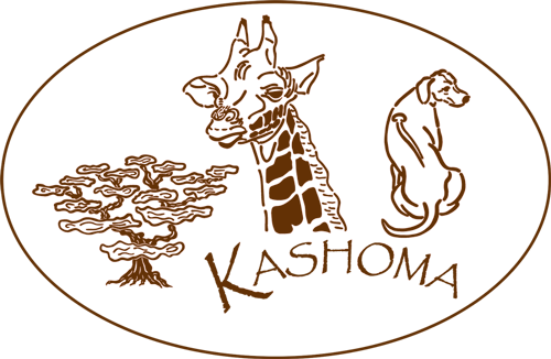 Kashoma Logo